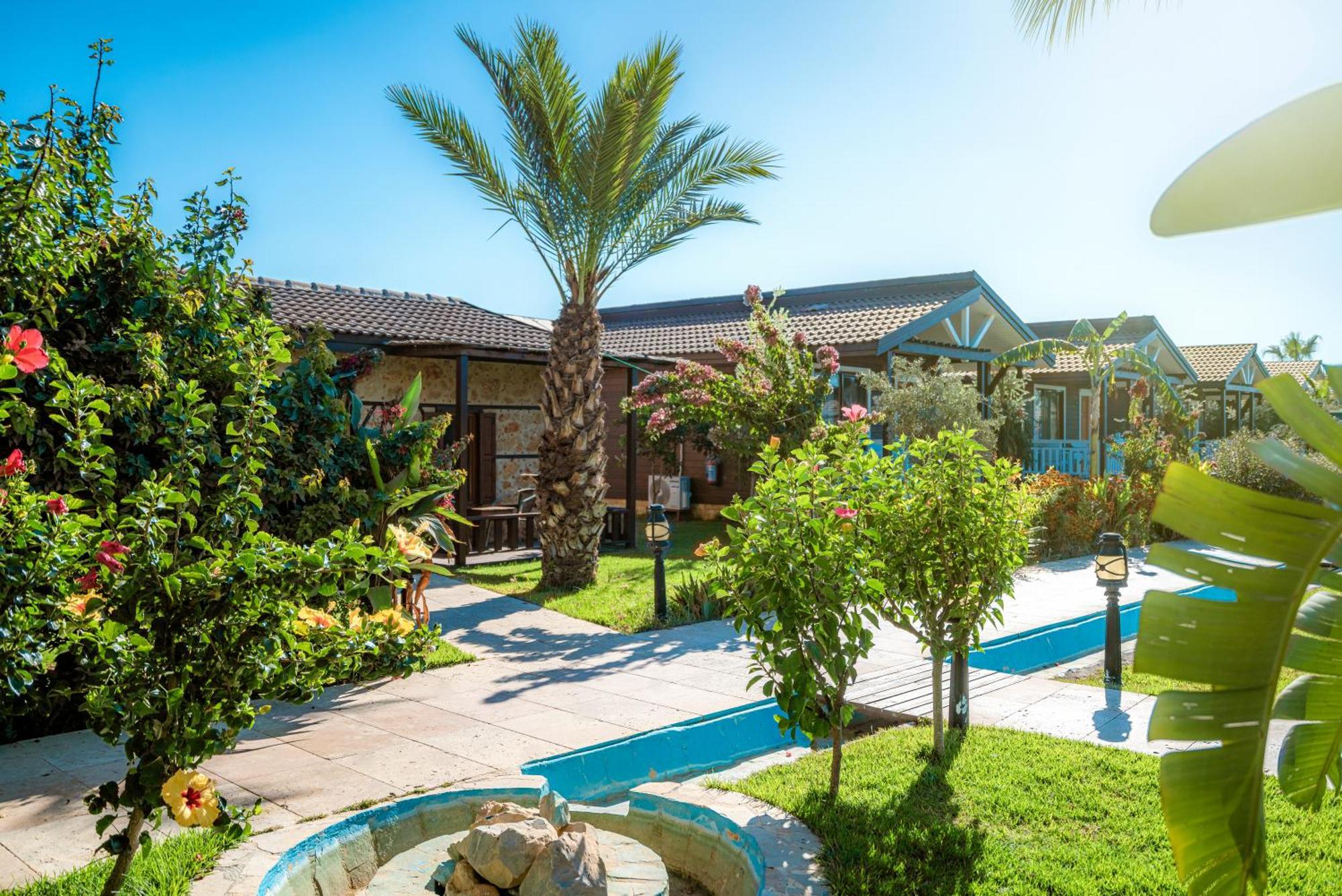 Sedir Park - Beach Bungalow Kargicak  Exterior photo